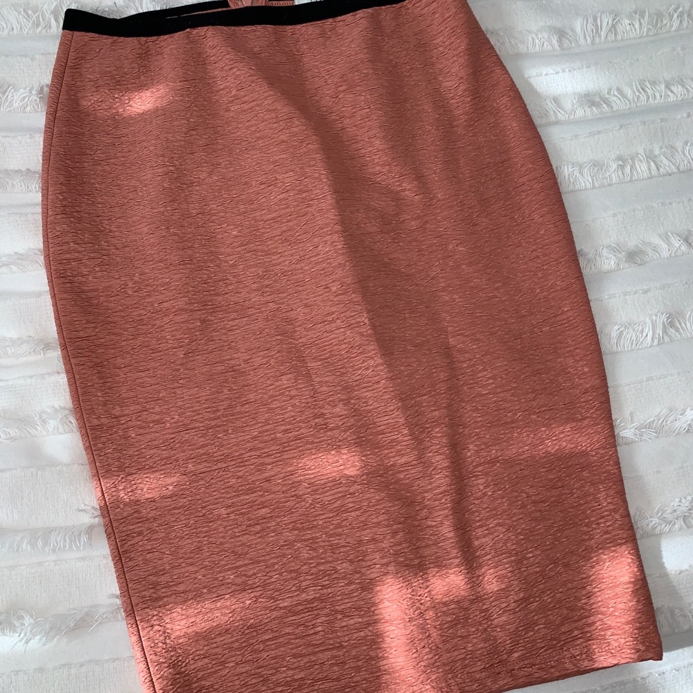Forever 21 Pencil Skirt